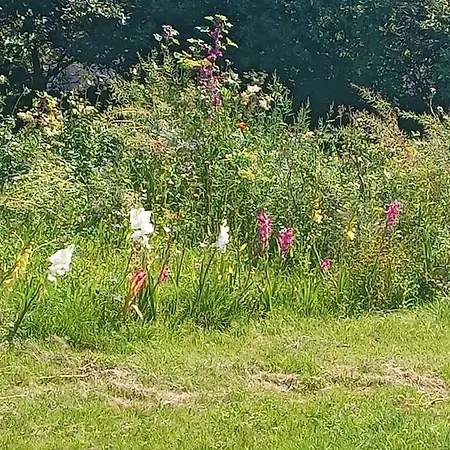 Ceaser's Is A Cosy 1 Bedroom