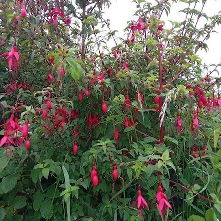 Ceaser's Is A Cosy 1 Bedroom *