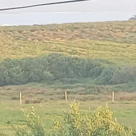 Apartamento Ceaser's Is A Cosy 1 Bedroom *