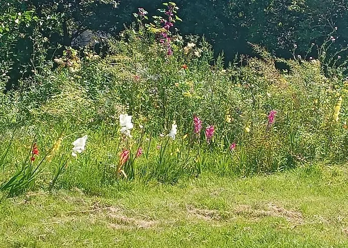 Ceaser's Is A Cosy 1 Bedroom