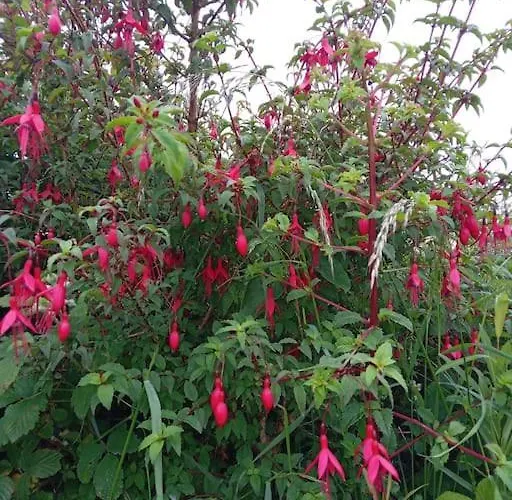 Ceaser's Is A Cosy 1 Bedroom *