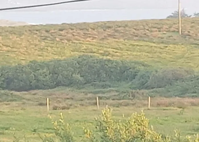 דירה Ceaser's Is A Cosy 1 Bedroom *